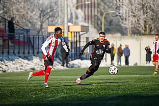 Adri�n Sl�vik |  autor: Matej Sagan