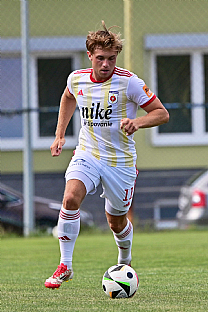 Vojt�ch Nov�k |  autor: Rudolf Ma�kurica