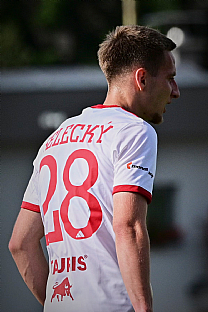 Alexander Seleck� |  autor: Rudolf Ma�kurica