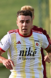 Adri�n Sl�vik |  autor: Rudolf Ma�kurica