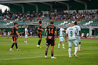 Vojt�ch Hrano�, Martin Ba��k, Tom� Maru�in a Jan Hlad�k. |  autor: Luk� Mi�ata