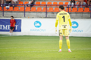 Ivan Kraj��rik |  autor: Luk� Mi�ata