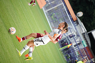 Alexander Seleck� |  autor: Luk� Mi�ata