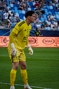 Ivan Kraj��rik |  autor: Luk� Mi�ata